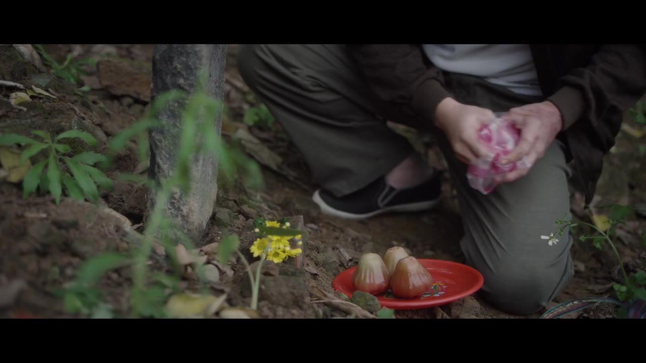 Về trường tập 3