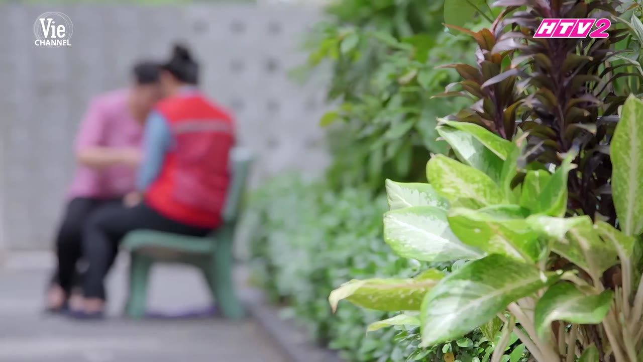 Gạo Nếp Gạo Tẻ (Phần 1) tập 10