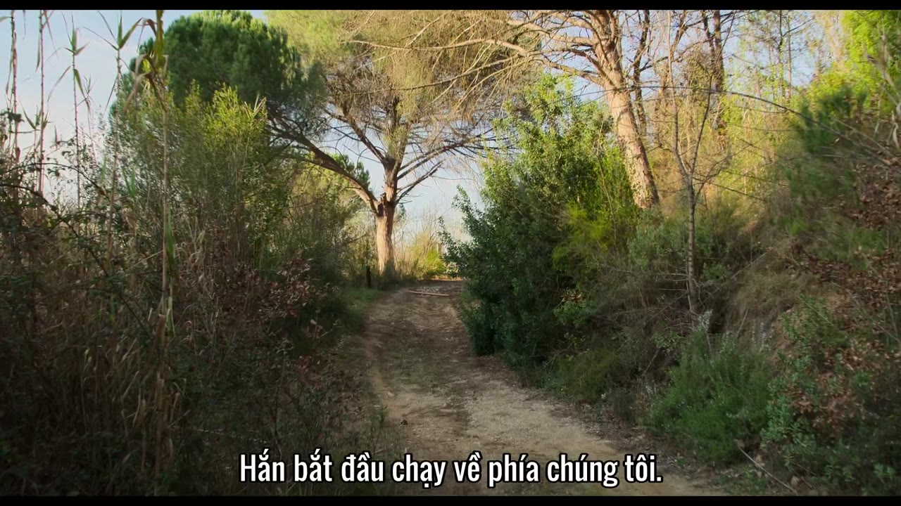 800 mét tập 3 cảnh 2