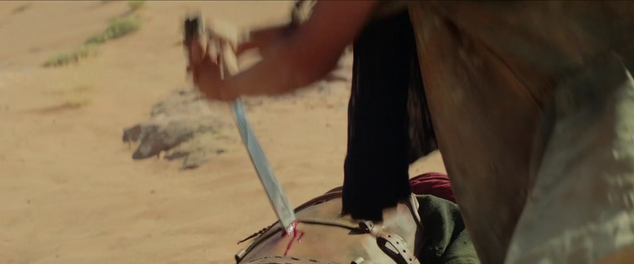 Desert Warrior - cảnh 1