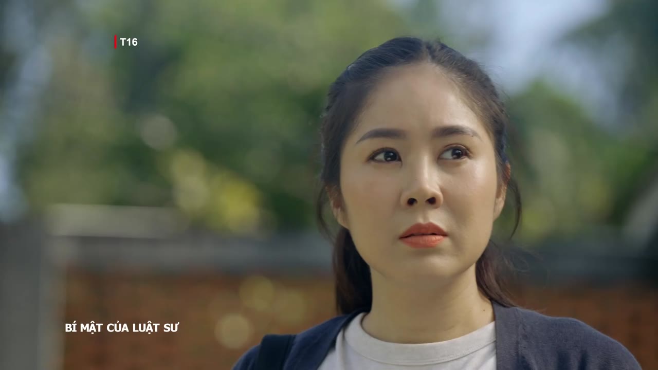 Bí Mật Của Luật Sư tập 2