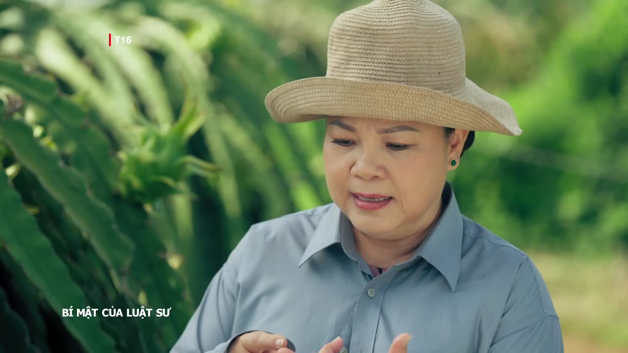 Bí Mật Của Luật Sư tập 10 cảnh 2