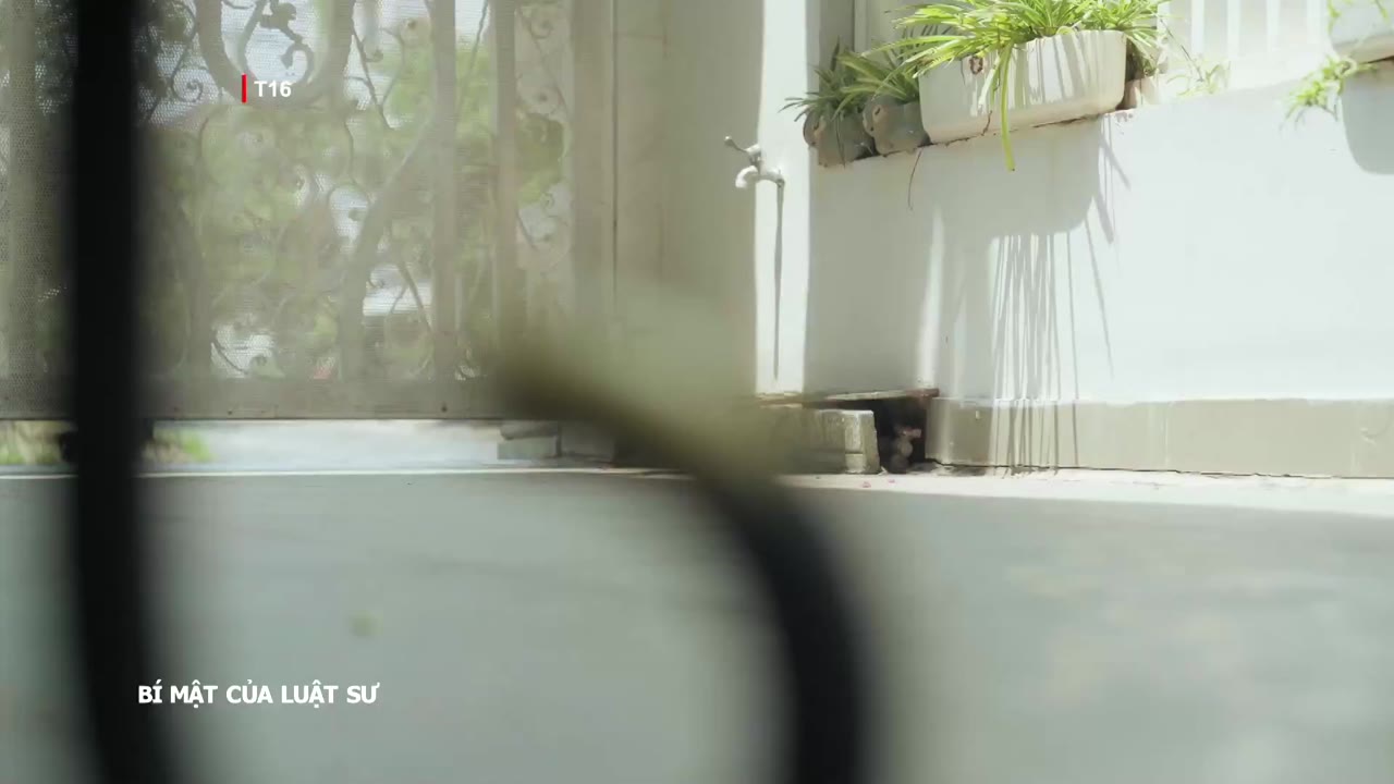 Bí Mật Của Luật Sư tập 28 cảnh 2
