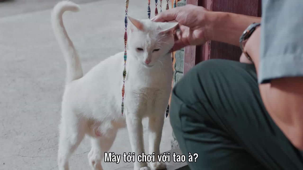Xưa Kia Có Ngói Lưu Ly tập 21 cảnh 3
