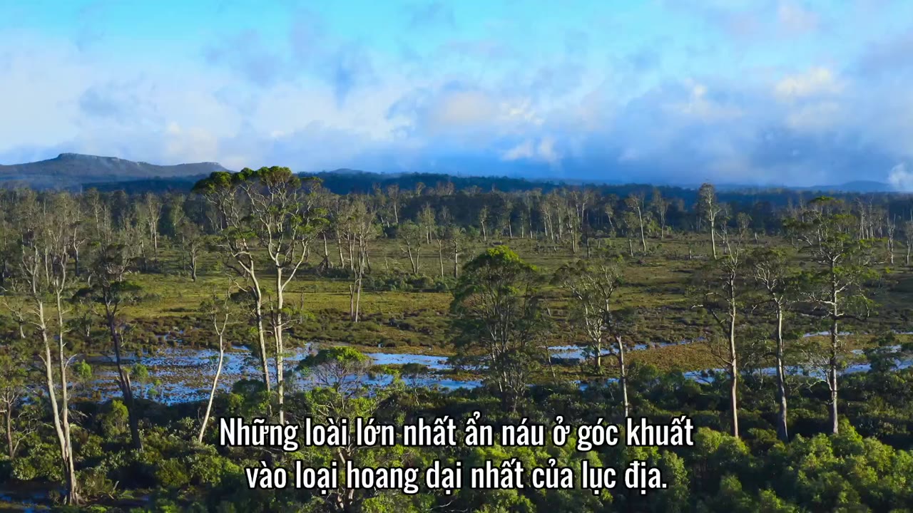 Động vật (Phần 2) tập 3