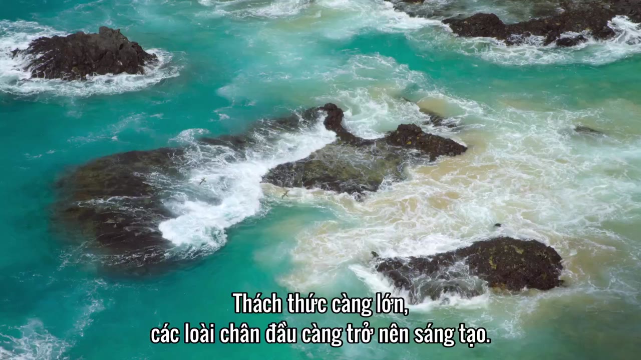 Động vật (Phần 2) tập 4 cảnh 2