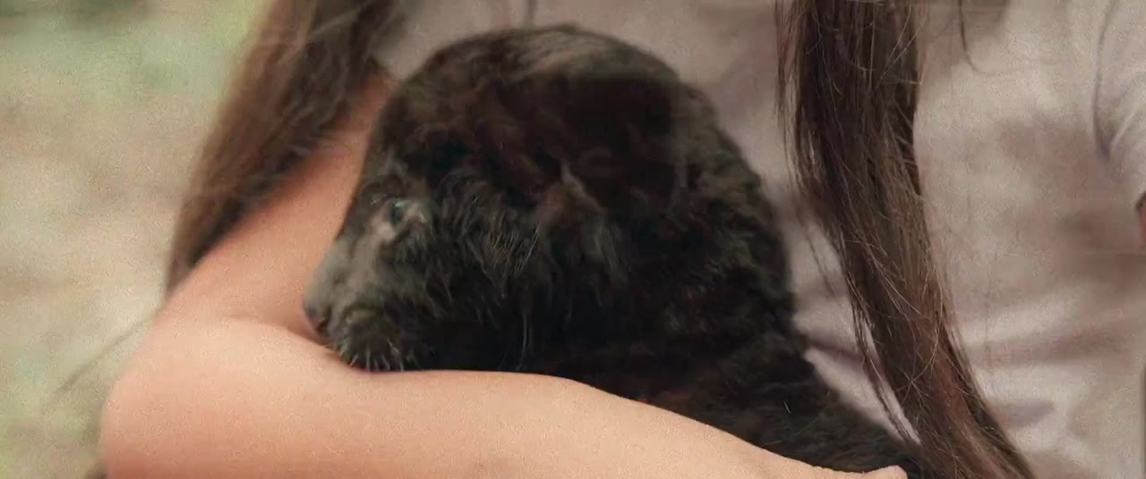 Mùa Thu Và Báo Đốm Đen tập 1 cảnh 2