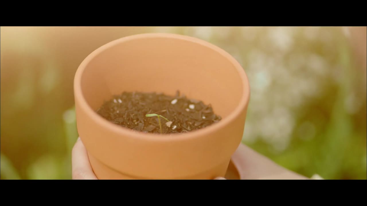 Một ngày nọ kẻ hủy diệt gõ cửa nhà tôi tập 8