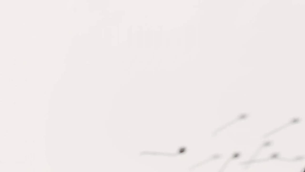 Đại Tần Đế Quốc tập 77