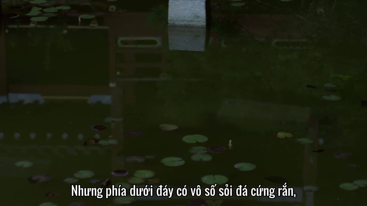 Hoa Lang tập 13