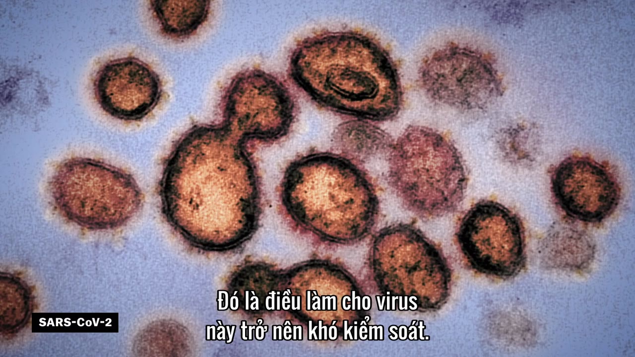 Giải mã virus corona tập 1
