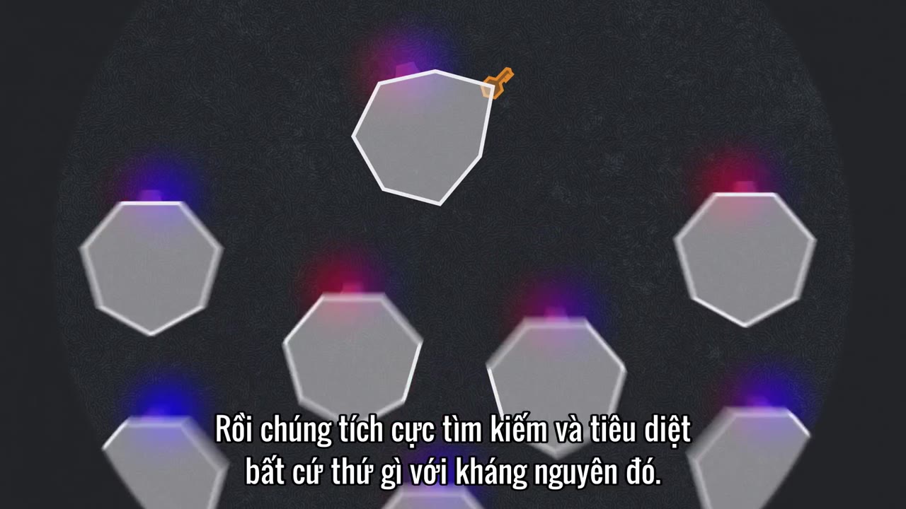 Giải mã virus corona tập 2