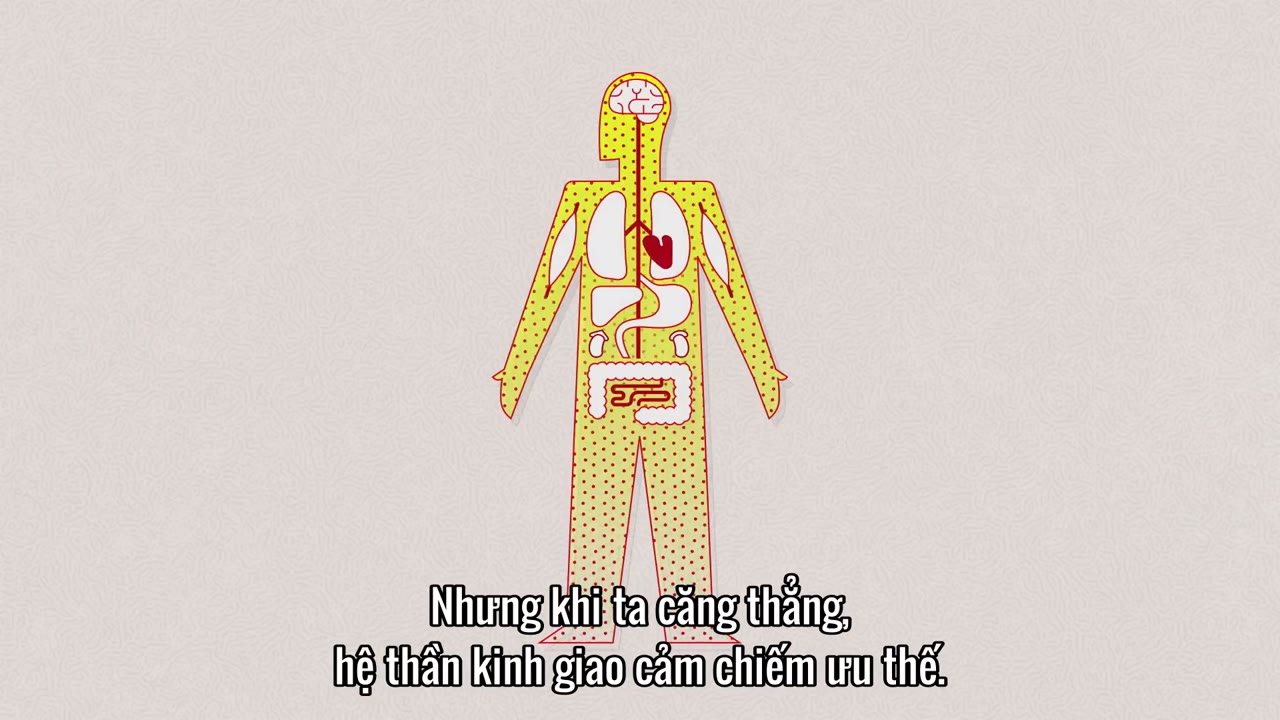 Giải mã virus corona tập 3