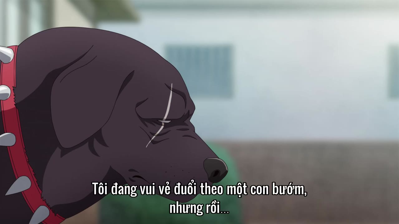 Ông chồng yakuza nội trợ (Phần 2) tập 1 cảnh 3