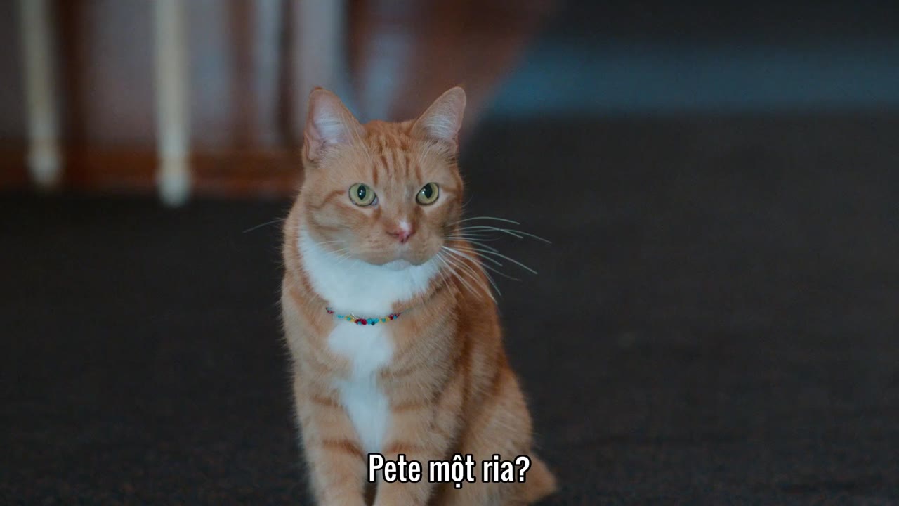 Mèo nhát tập 7