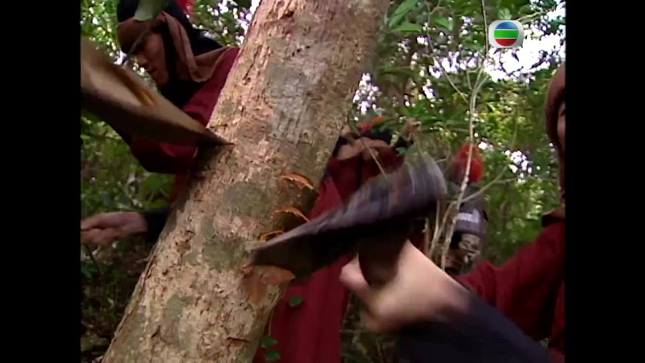 Sở Hán Kiêu Hùng tập 19