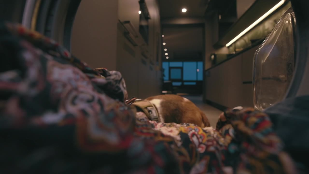 Báo Thủ Seoul tập 10 cảnh 2