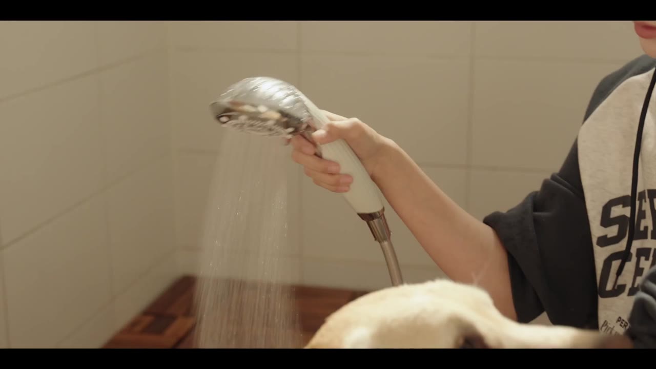 Chú Chó Biết Tuốt tập 12 cảnh 3