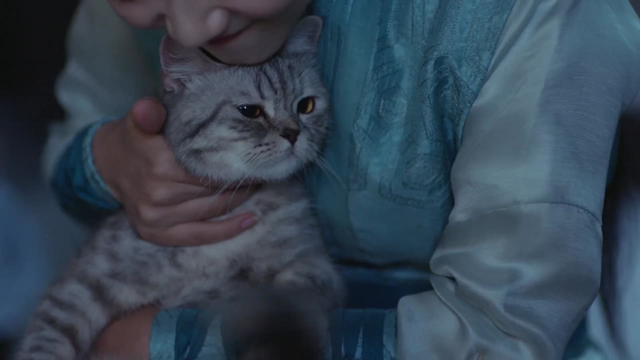 Cẩm Y Chi Hạ tập 9 cảnh 2