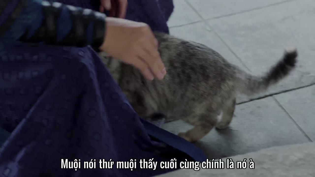 Cẩm Y Chi Hạ tập 10