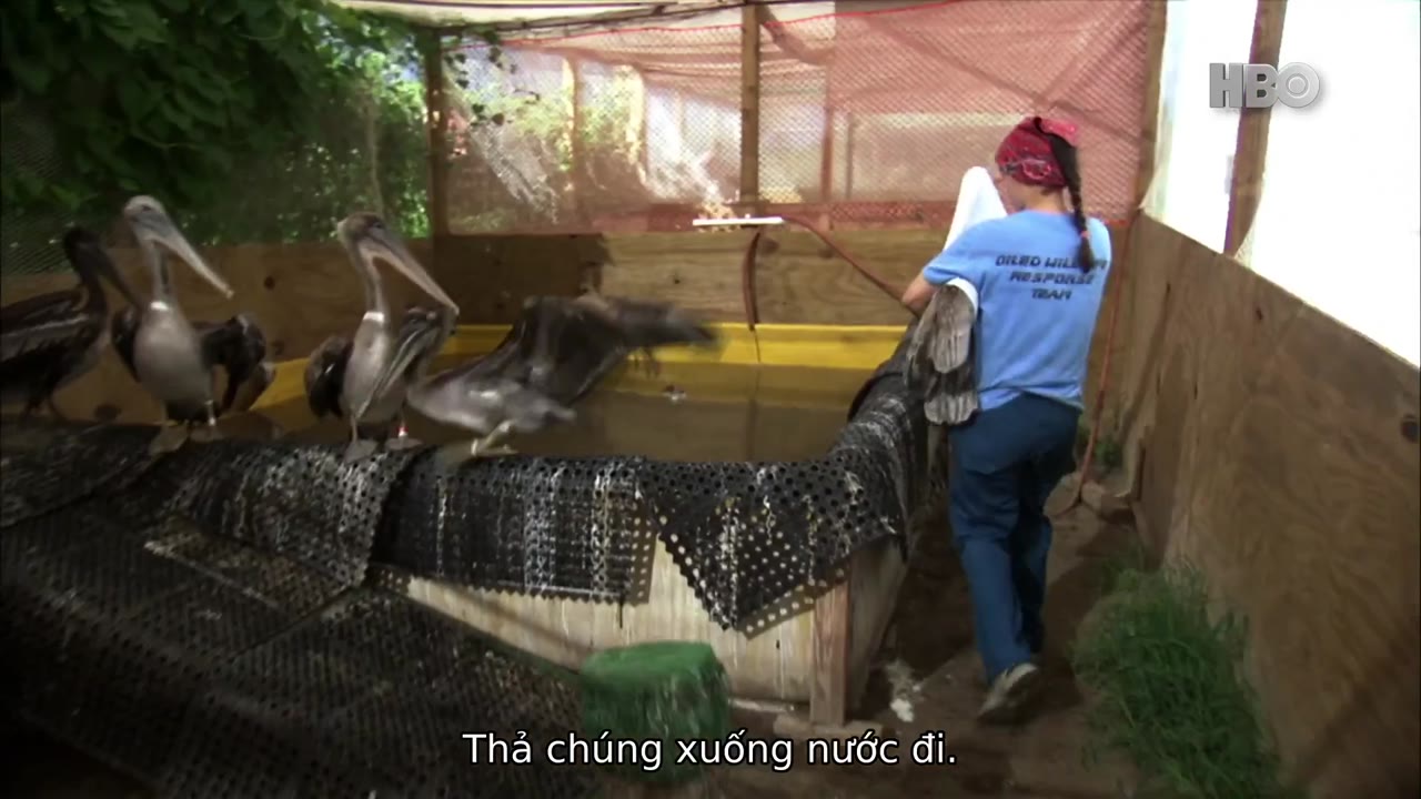 Giải Cứu Chú Bồ Nông Thứ 895 - cảnh 2