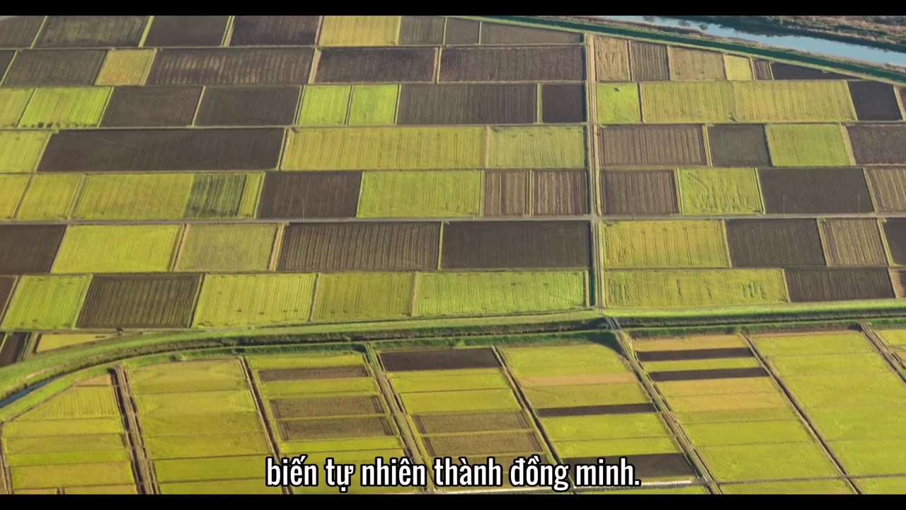 Khoa học và lịch sử cùng Felipe Castanhari tập 4