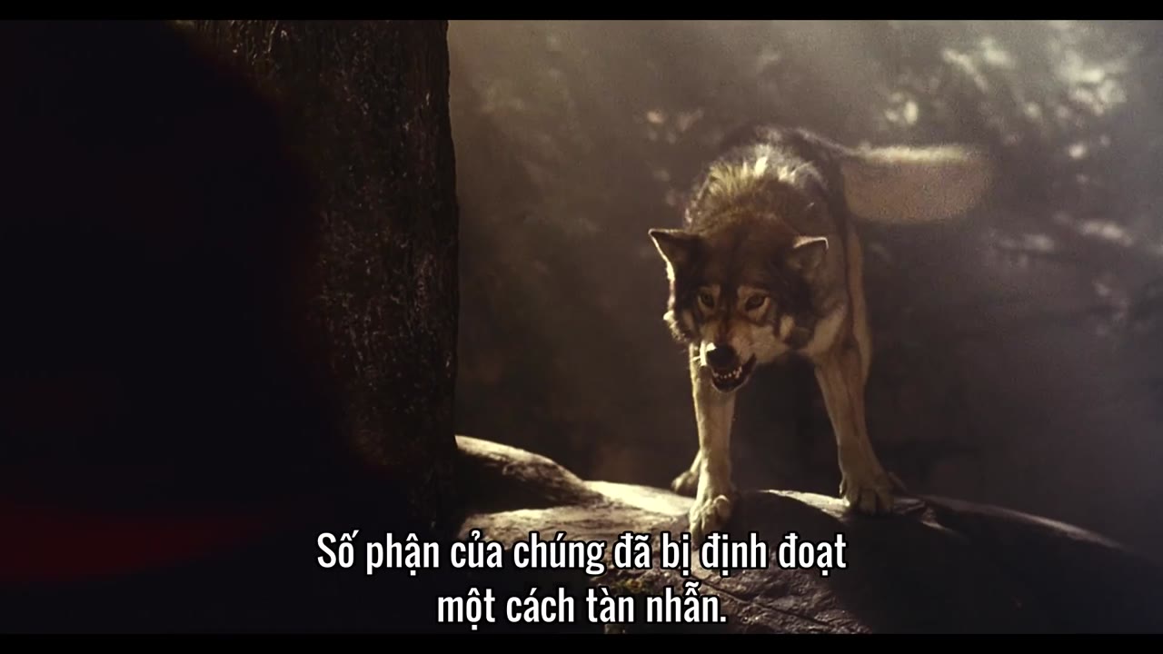 Khoa học và lịch sử cùng Felipe Castanhari tập 4 cảnh 2