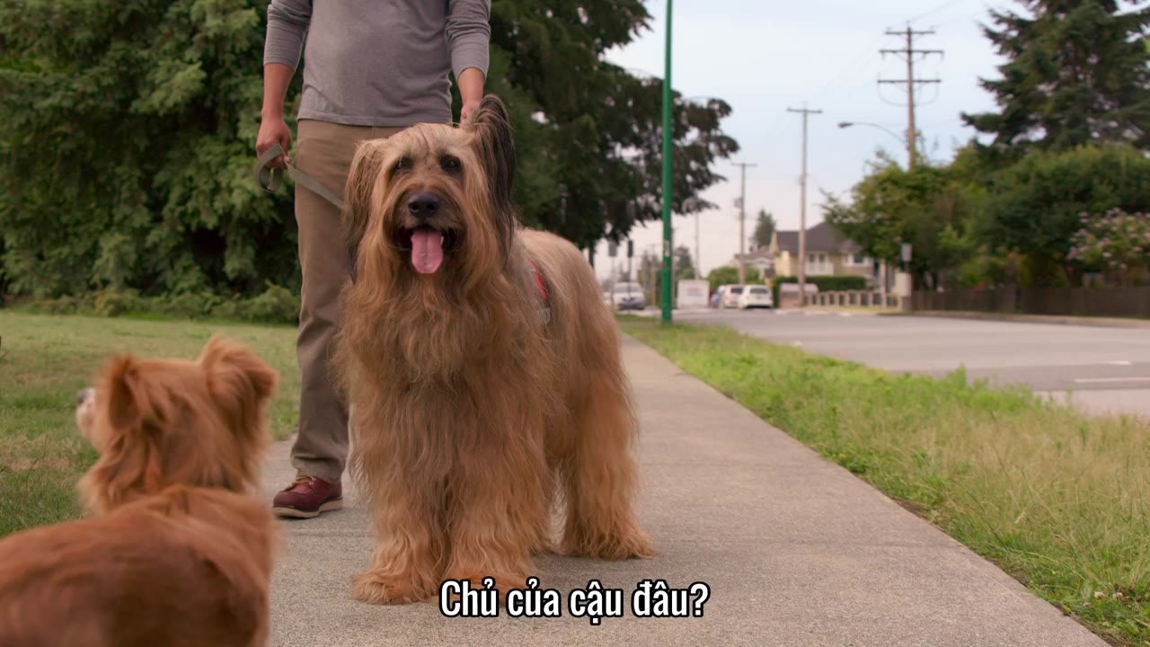 Năng lực chữa bệnh của Dude tập 1 cảnh 3