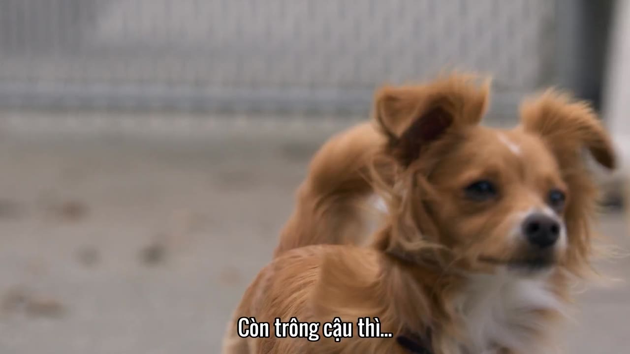 Năng lực chữa bệnh của Dude tập 3 cảnh 2