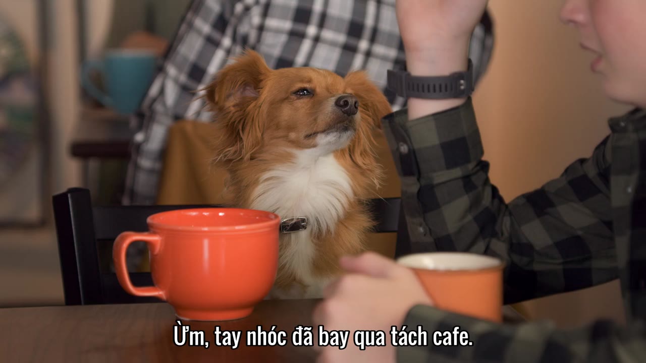 Năng lực chữa bệnh của Dude tập 5
