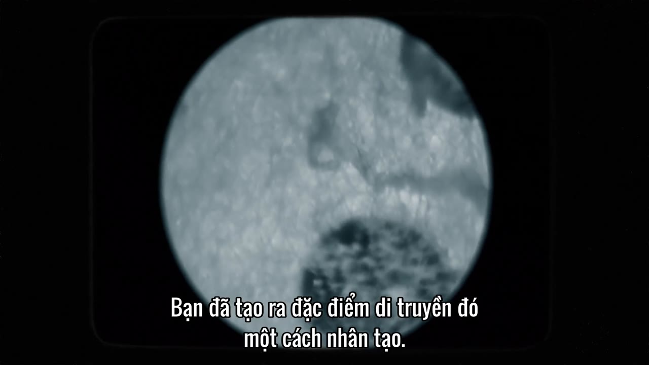 Nhập môn lịch sử tập 10 cảnh 2