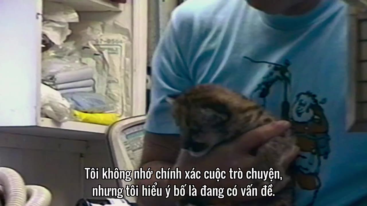 Vua hổ (Phần 2) tập 2