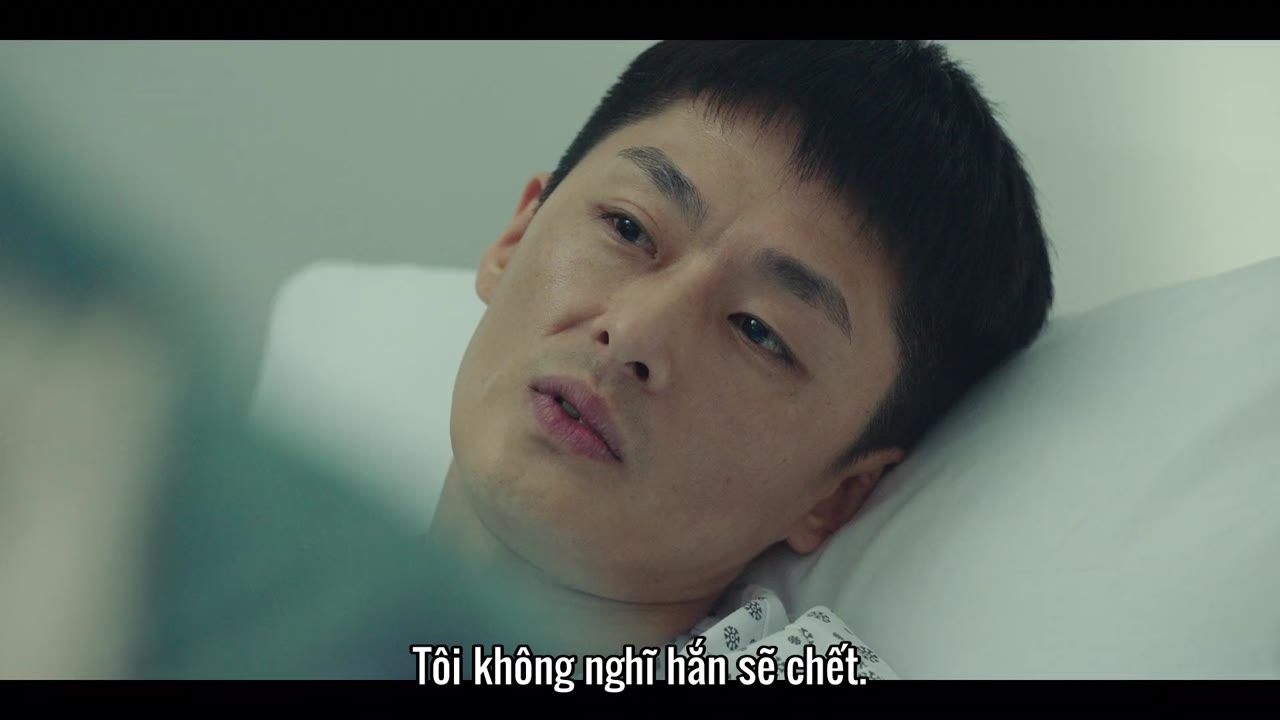 Trường Luật tập 14