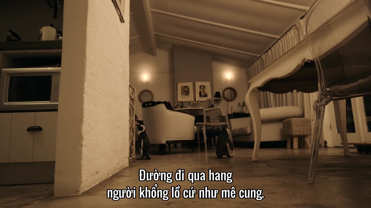 Thị trấn cánh cụt tập 7 cảnh 3