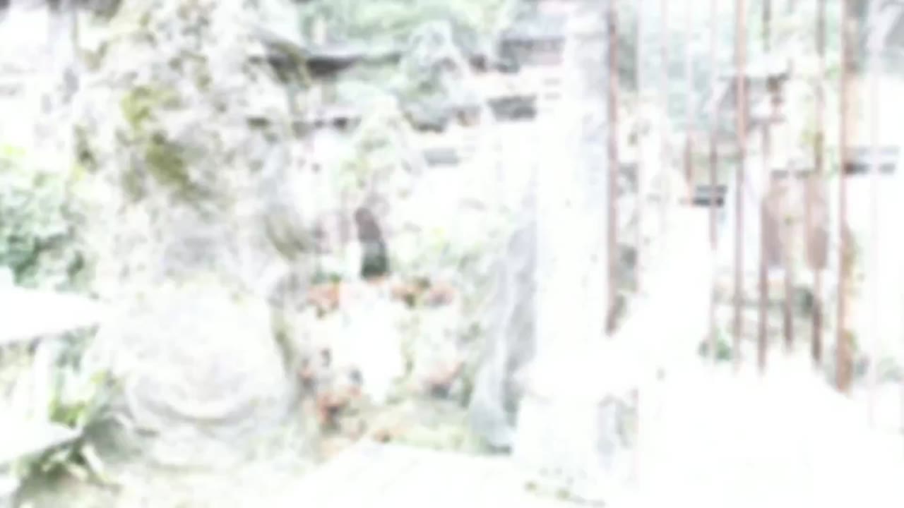 Bạch Phát Vương Phi tập 9 cảnh 2