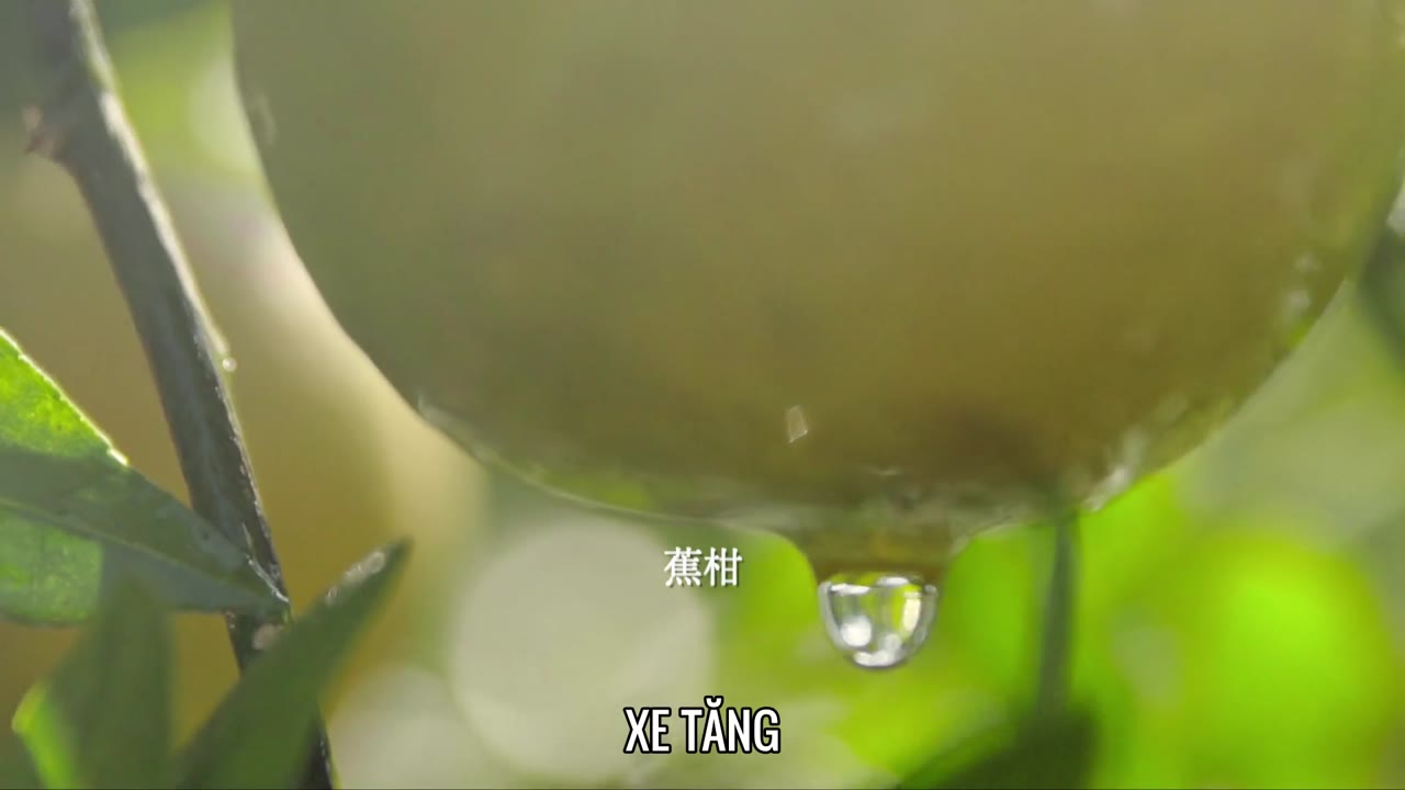 Nguồn Gốc Của Hương Vị (Phần 1) - Ẩm Thực Triều Sán tập 9