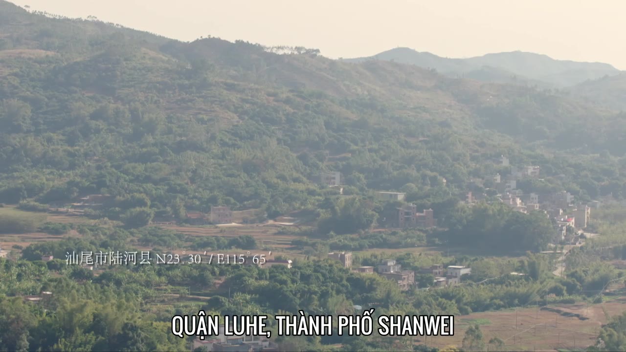 Nguồn Gốc Của Hương Vị (Phần 1) - Ẩm Thực Triều Sán tập 10 cảnh 2