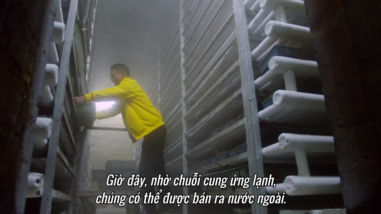 Nguồn Gốc Của Hương Vị (Phần 1) - Ẩm Thực Triều Sán tập 15 cảnh 2