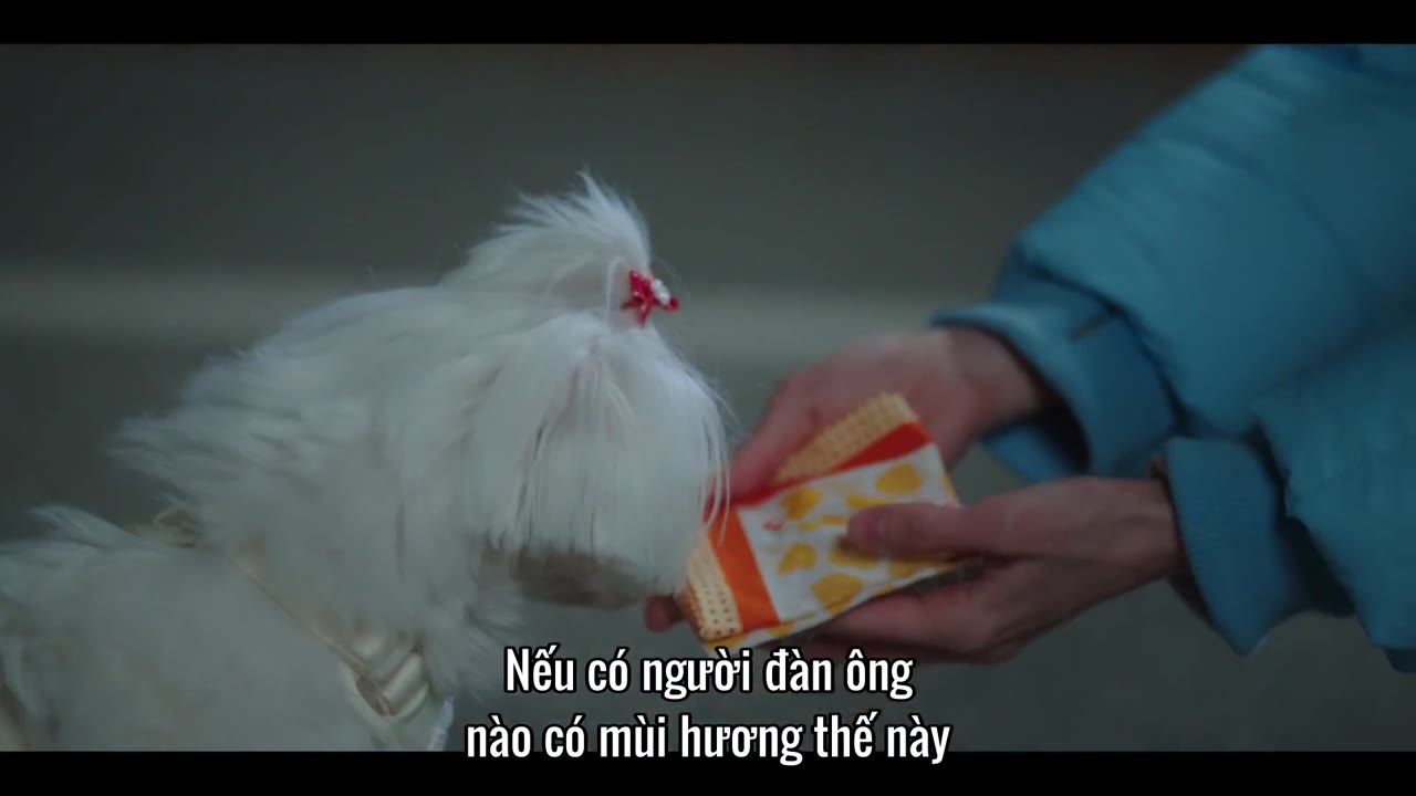 Người Tình DNA tập 2