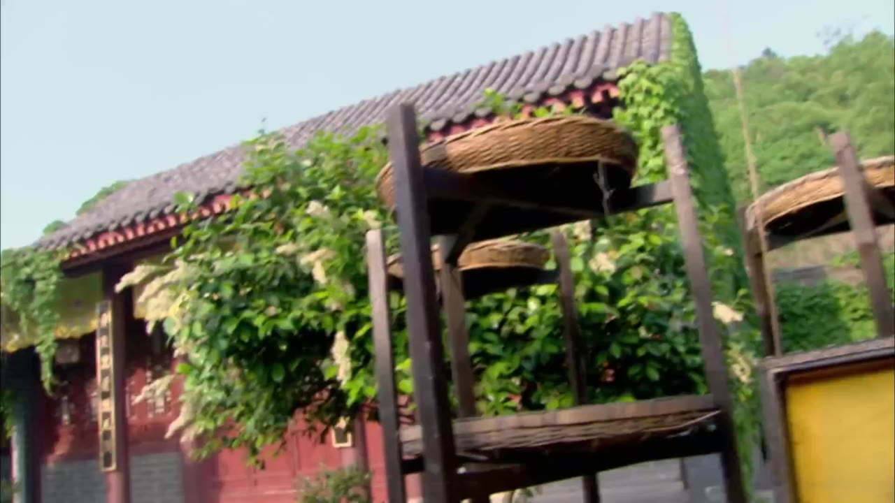 Nữ Y Minh Phi Truyện tập 9