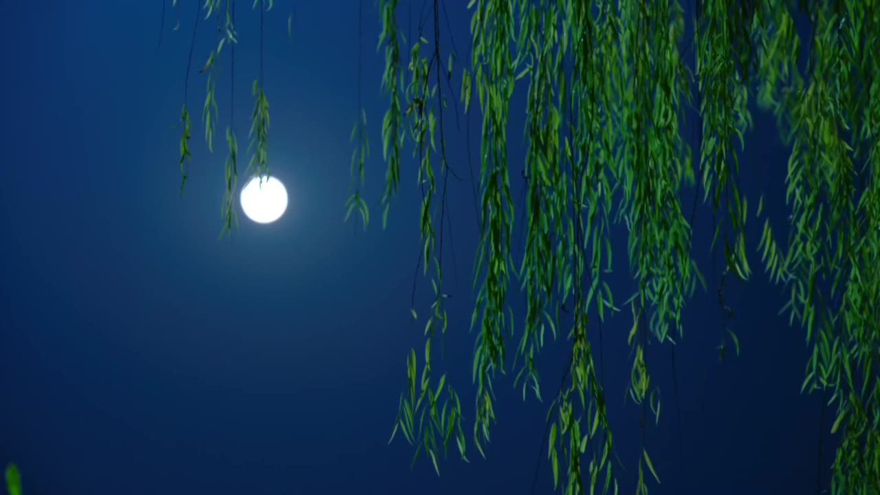 Tiểu Nữ Nghê Thường tập 24