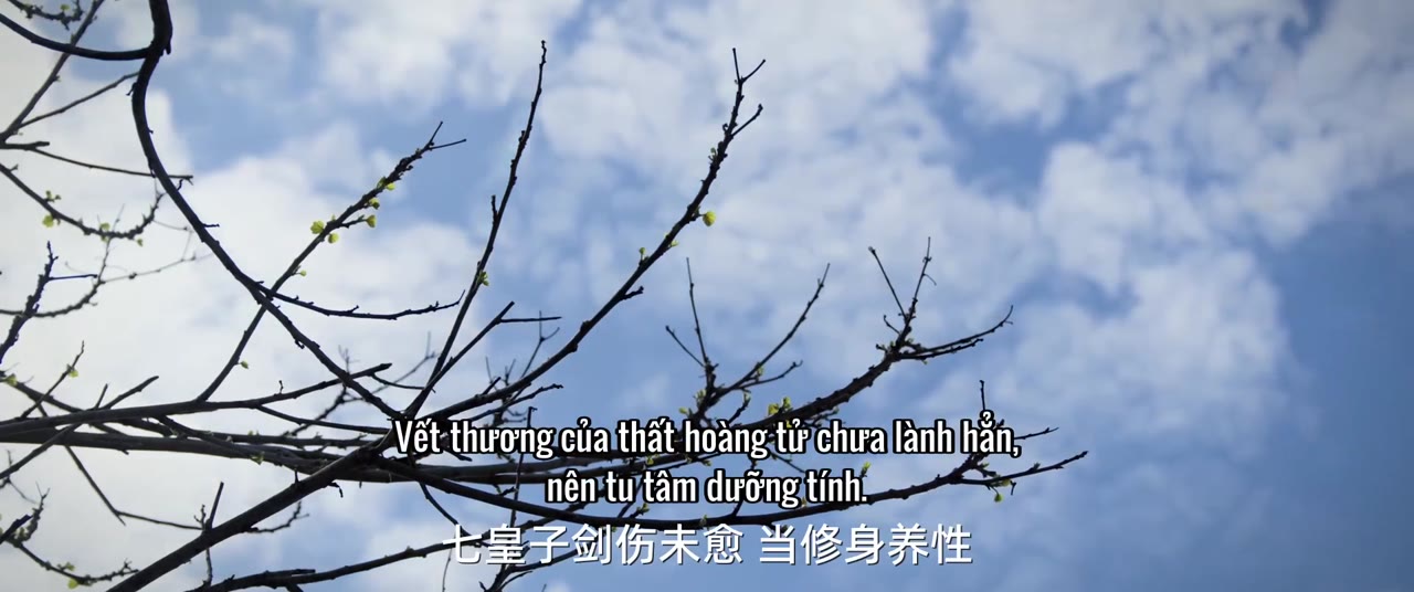 Hồng Y Túy tập 6 cảnh 2