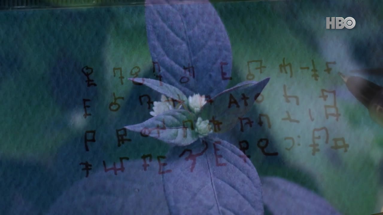 Vẽ Cùng John (Phần 1) tập 4