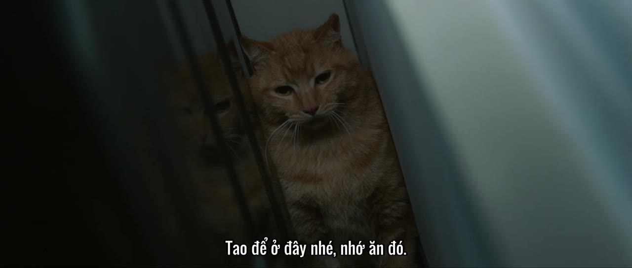 Kẻ Săn Người tập 11