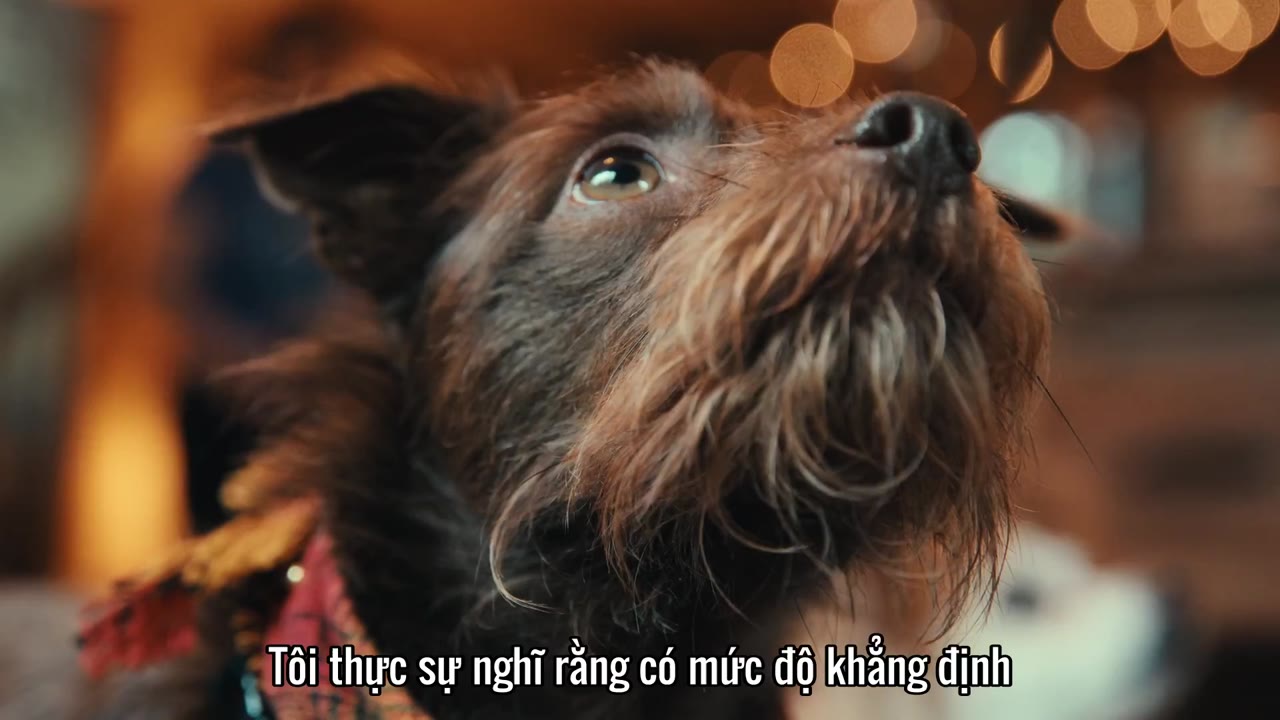 Những chú chó nghĩ gì tập 1 cảnh 3