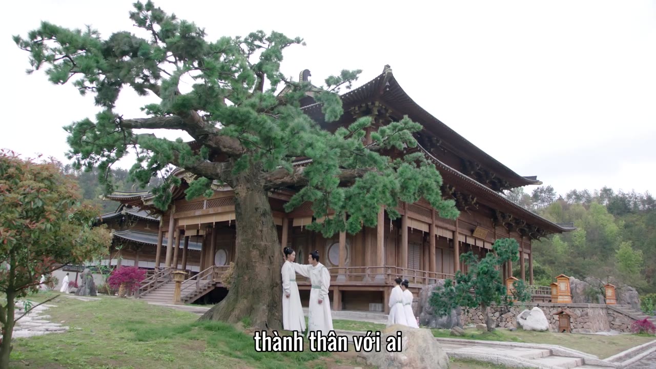 Thanh Thanh Tử Khâm tập 5