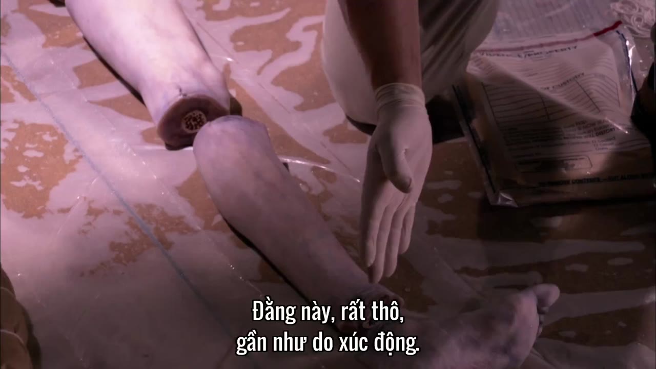 Thiên Thần Khát Máu (Phần 1) tập 1 cảnh 2