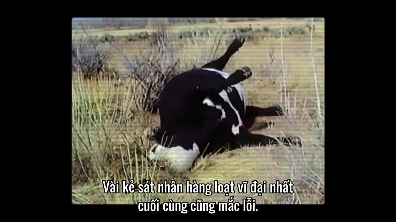 Những bí ẩn chưa lời đáp tập 3 cảnh 3