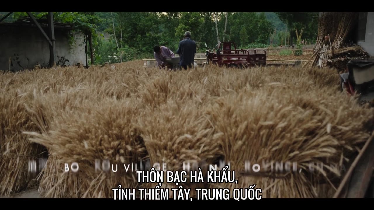 Bàn của bếp trưởng: Món mì tập 2
