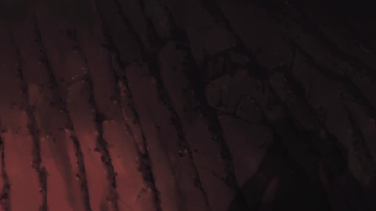 Naruto Shippuden tập 147 cảnh 2